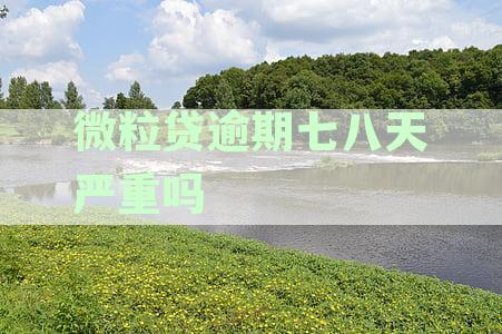 微粒贷逾期七八天严重吗怎么办及处理方法详解