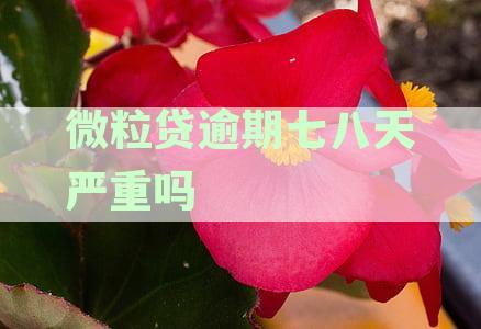 微粒贷逾期七八天的影响与应对策略：解析逾期后果及解决方案