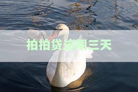 拍拍贷逾期三天会上征信吗会影响信用吗及其对后续借款的影响