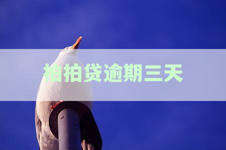 拍拍贷逾期三天