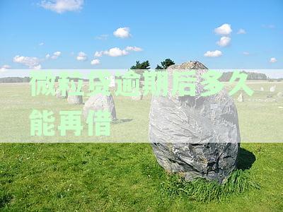 微粒贷逾期影响解析：多长时间算逾期及其法律后果与解决方案