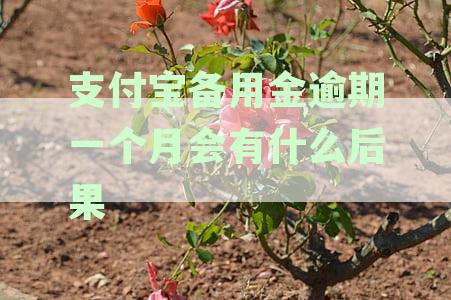 支付宝备用金逾期一个月会有什么后果吗，是否上征信及逾期影响严重性分析