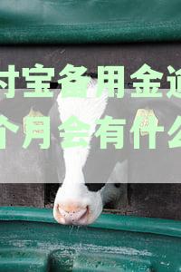 支付宝备用金逾期一个月究竟会有什么严重后果？