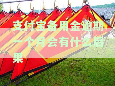 支付宝备用金逾期一个月的后果、影响及应对措详解