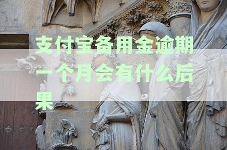 支付宝备用金逾期一个月还款后，还能用多久？多久之后可以再次使用备用金？