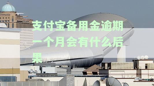 支付宝备用金逾期一周可能产生的后果及解决方案解析
