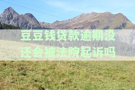 豆豆钱贷款不还会起诉吗：逾期未还后果、涉嫌诈骗真相及是否上征信