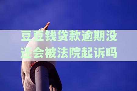 豆豆钱借款没还会怎么样，不还贷款有何后果及是否上征信