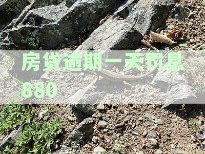 房贷逾期一天罚息880正常吗，逾期一天罚息一千多是否合理，及对征信的影响