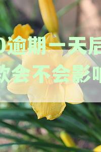 360逾期一天后还款会不会影响使用信用卡额度及再次借款能力与额度使用情况