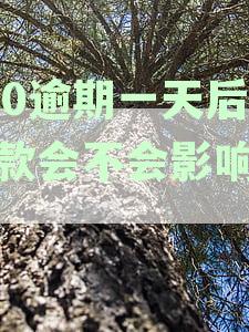 360逾期一天还款对征信记录的影响及潜在信用风险解析