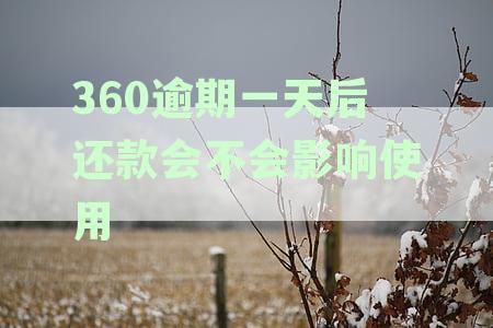 360逾期一天还款之后能再借出来么，额度还能用吗，还款逾期有影响吗？