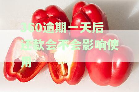 逾期一天还款对征信会有什么后果？借条还款逾期一天会有什么影响？