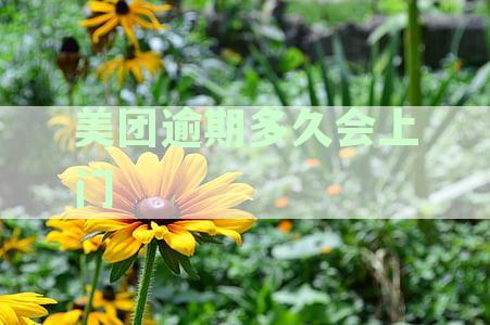 逾期借款多久后美团会进行上门催收？科普指南解析