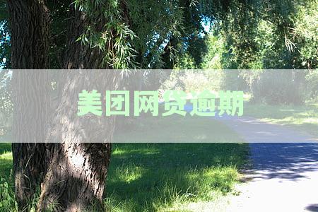 美团网贷逾期会冻结微信支付宝吗：欠款2000逾期冻结名下资产？
