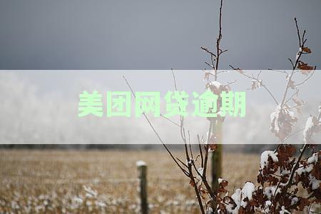 美团网贷逾期多久可能导致征信记录受损及如何避免进入黑名单详解