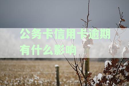 公务卡逾期会怎么样：逾期处罚、影响及是否上征信详解
