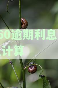 360逾期利息怎么计算出来的，利息过高及费用计算，如何减少还款负担？