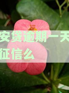 众安贷逾期十天会怎样：处理方式、逾期利息及影响分析