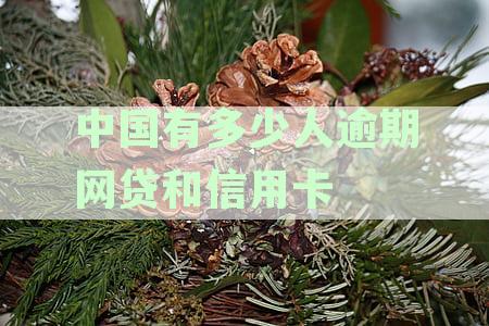 中国大概有多少人逾期网贷：全国逾期网贷人数统计概览