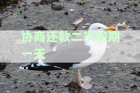 协商还款二次逾期一天
