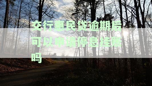 交行民贷逾期后可以申请停息挂账吗安全吗可靠性与真实性探究