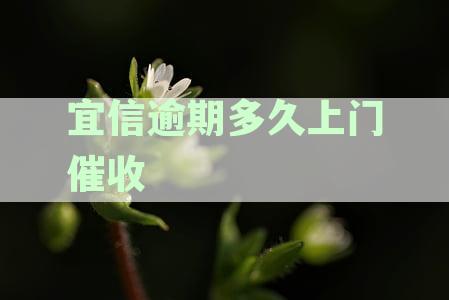 宜信逾期多久上门催收电话，多久联系人和公司，催收电话承诺结清可信否？