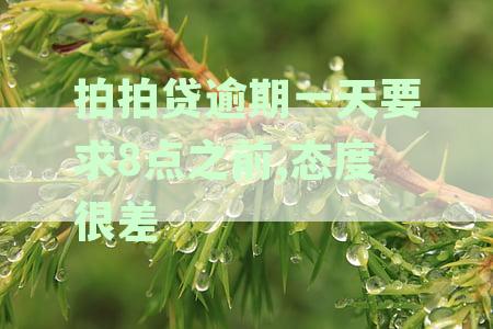 拍拍贷逾期一日遭遇恶劣催收：如何应对高利息与恶劣态度问题解析