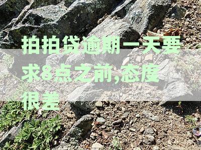 拍拍贷逾期一天要求8点之前,态度很差