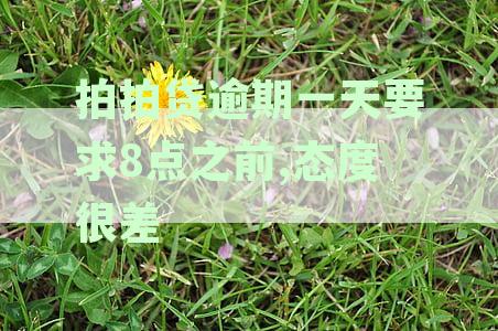 拍拍贷逾期一天还款会上征信吗？探究对后续借款的影响及可能后果
