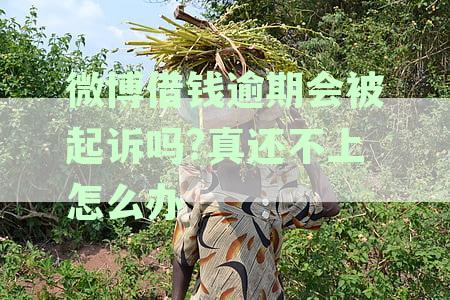 微博借钱逾期会被起诉吗?真还不上怎么办