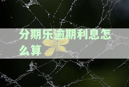 分期乐逾期利息计算：逾期费率、年利率及罚息详解与还款利息总额