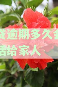 逾期贷款多久后贷款方会给家里打电话？是否构成泄露家人信息探讨