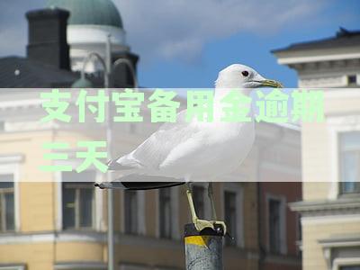 支付宝备用金逾期三天会有影响吗，逾期会上征信吗及应对措安全吗