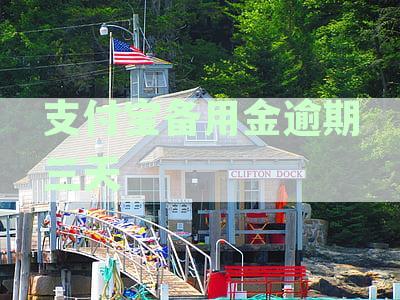 支付宝备用金逾期解锁全解析：逾期三天后多久能恢复正常使用及应对策略