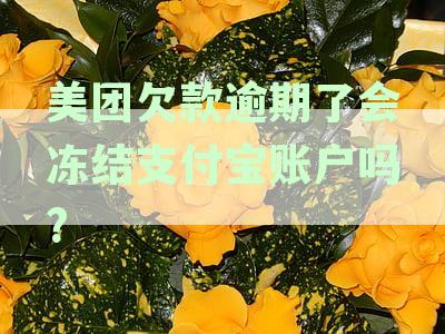 美团逾期欠款对支付宝账户的影响：逾期还款后果及账户冻结详解