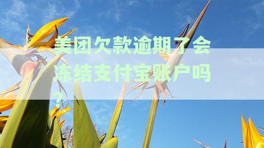 美团逾期会不会冻结微信和支付宝、银行卡及账户资金