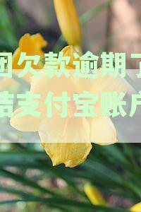 美团逾期会影响支付宝吗：逾期对花呗信用卡及安全的潜在影响分析