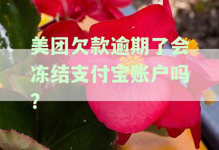 美团欠款逾期了会冻结支付宝账户吗?
