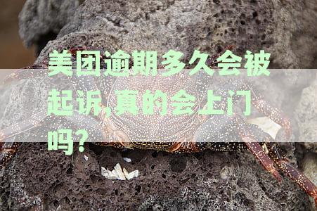 美团逾期多久会被起诉会有什么后果：细狗、月付及具体情形分析