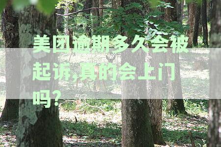 美团逾期还款法律后果详解：是否会起诉及应对策略分析