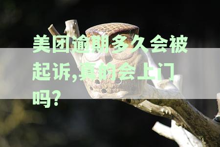 美团逾期多久会安排人员上门催收催款服务