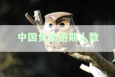 最新中国负债逾期人数详析：逾期率、债务状况及影响深度解析