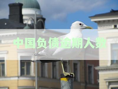 为何中国逾期负债人数激增：探究背后的原因