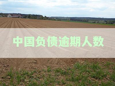 官方最新数据：全国负债逾期人数统计与逾期率深度解析
