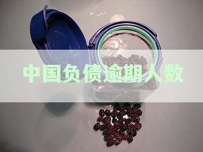 负债逾期人数的真实性-2021负债逾期
