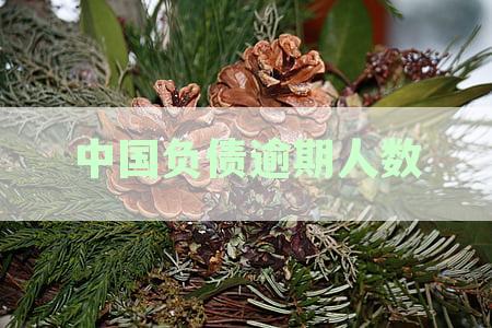中国负债逾期人数