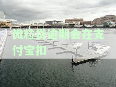 微粒贷逾期：支付宝扣款机制及其对信用影响的详细解析