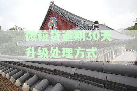 微粒贷逾期30天：一次性还款要求、影响及应对策略详解