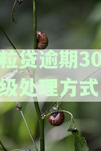 微粒贷逾期30多天告知违约警告将升级处理方式，加强催收力度及风险控制措